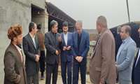 بازدید معاون وزیر در امور تولیدات دامی از واحدهای دامپروری استان گلستان