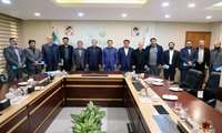 تولید گوشت قرمز منطبق بر الگوی طرح موفق جهش تولید در دیم‌زارها