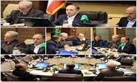 نشست تنظیم بازار مرغ؛ جوجه ریزی و تامین نهاده های مصرفی