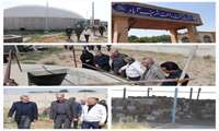معاون وزیر جهاد کشاورزی از کشت و صنعت شریف آباد بازدید کرد