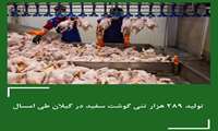 تولید ۲۸۹ هزار تن گوشت سفید در استان گیلان