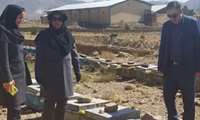 بازدید مشترک از زنبورستانهای شهمیرزاد استان سمنان