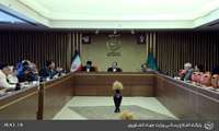 نشست هم اندیشی با انجمن زنجیره های تولیدکننده گوشت مرغ