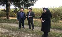 بازدید معاون وزیر از مرکز توسعه نوغانداری کشور