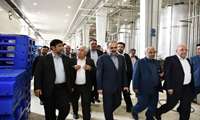 بازدید سرپرست وزارت جهاد کشاورزی از زنجیره تامین مرغ گوشتی آذربایجان خاوری؛