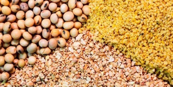 پیگیری تامین و توزیع نهاده‌های دامی در استان سمنان 
